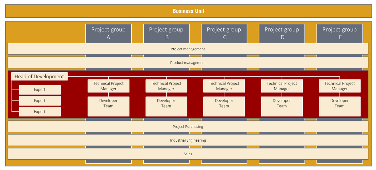 Development organisation in the Business Unit