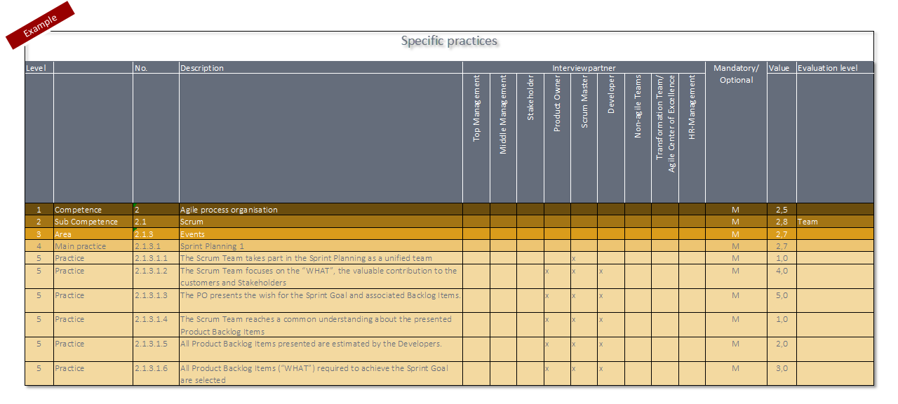 Competence sub-fields