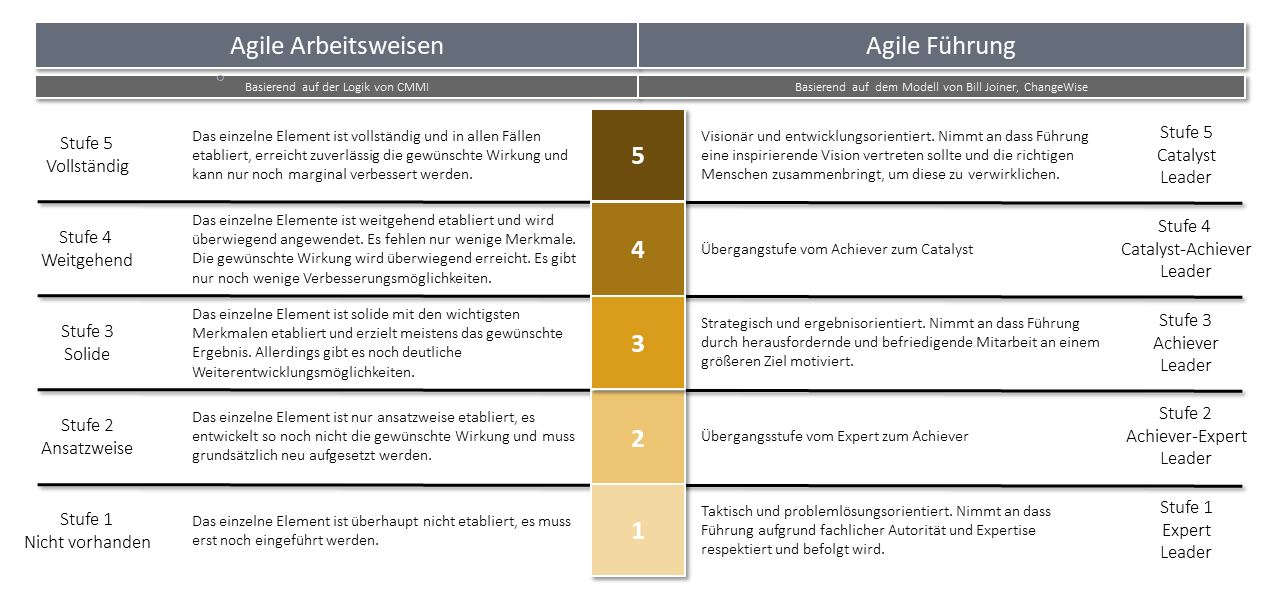 Ein von CO Improve entwickeltes Analysetool zur Einstufung agiler Praktiken und agiler Führung