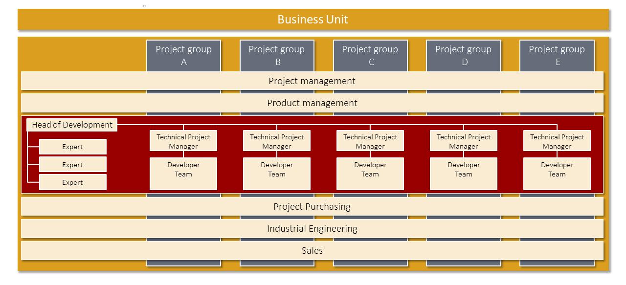 Development organisation in the Business Unit