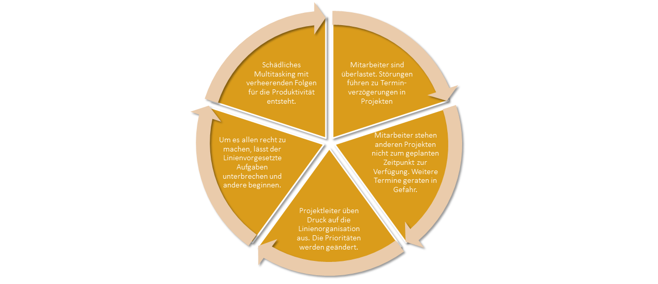 Referenz Projekt-Portfoliomanagement Abb. 3