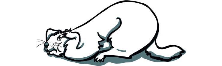 Agile Teams leben eine offene Kultur