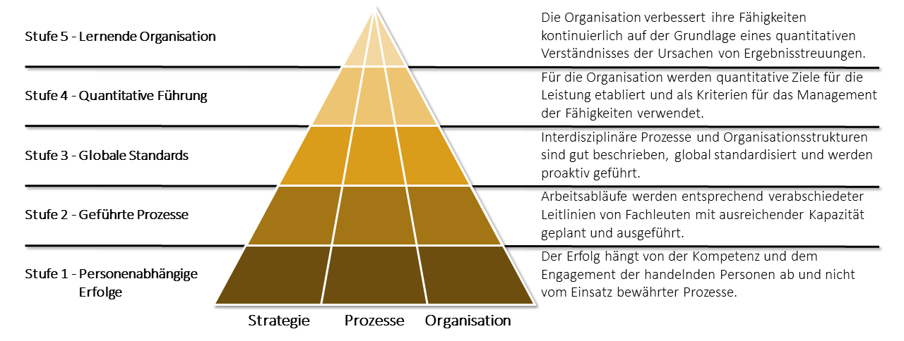 Reifegradstufen beim Smart Development Assessment 
